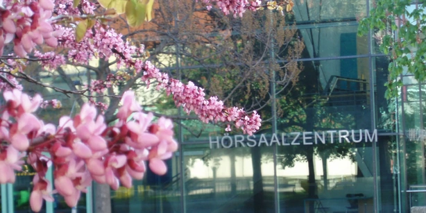 Foto des Campus Hörsaalzentrums im Frühling, mit blühendem Baum